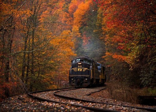 train1