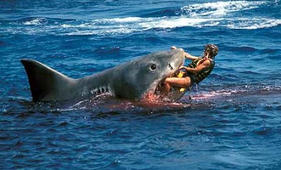 20 Of the Worst Shark Attacks Ever Recorded
