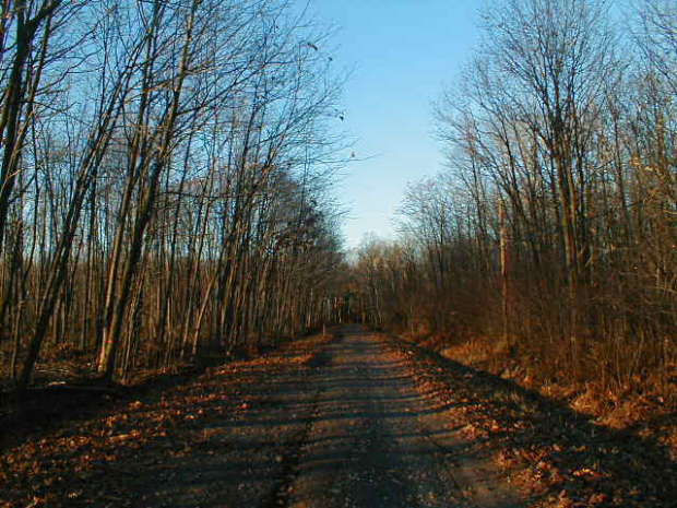 hauntedroad4