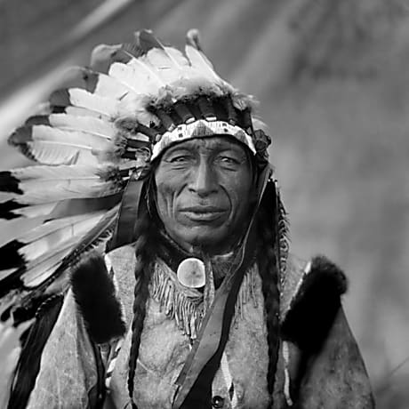 Image result for native american