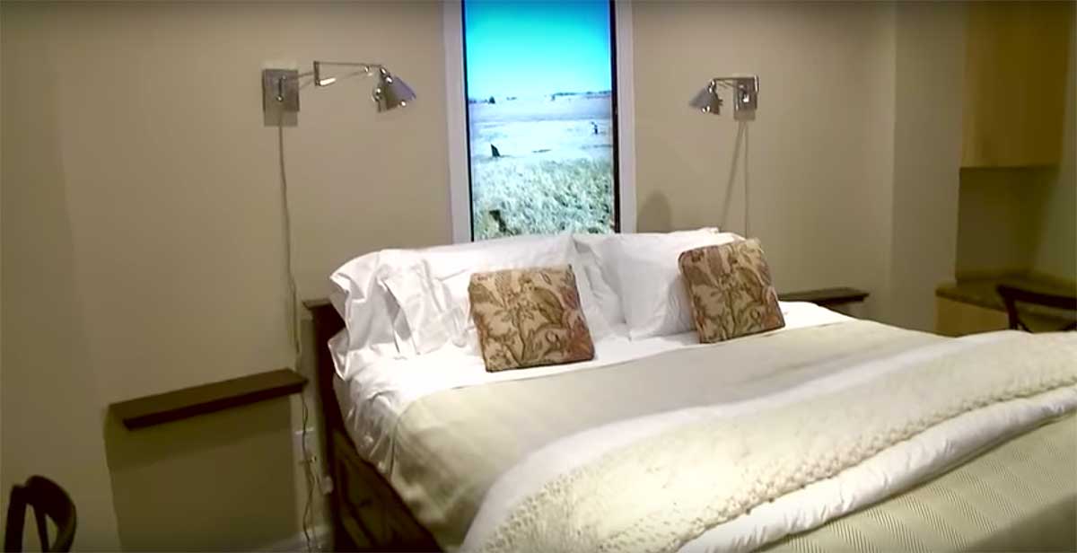 survival condo