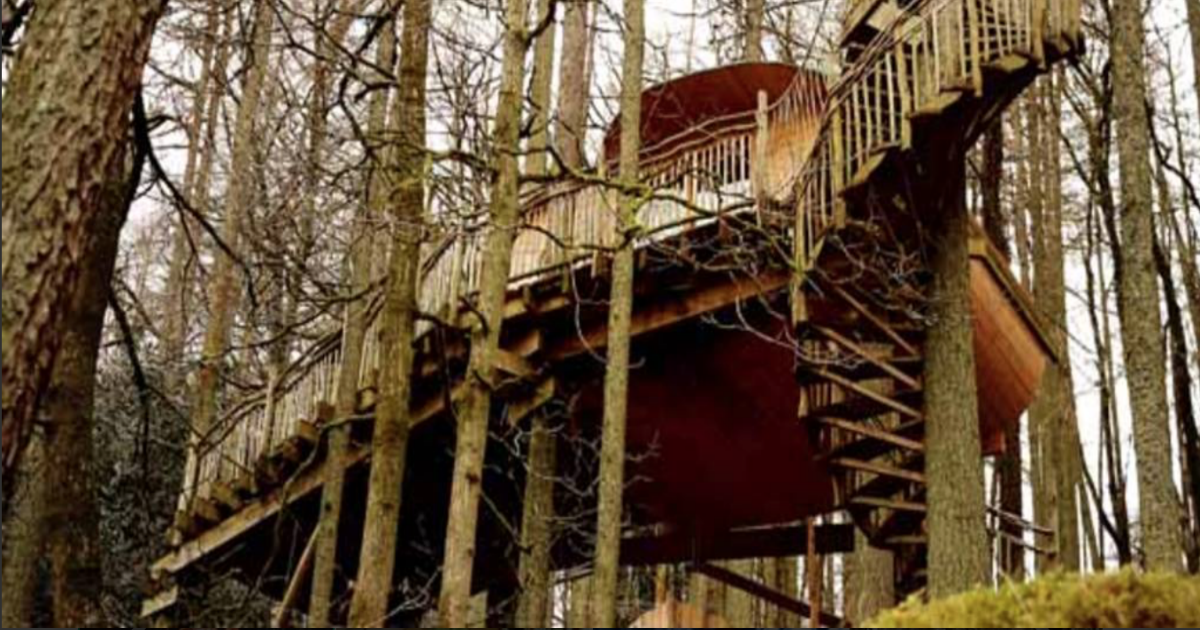 The World's Coolest Treehouses for Your Next Vacation