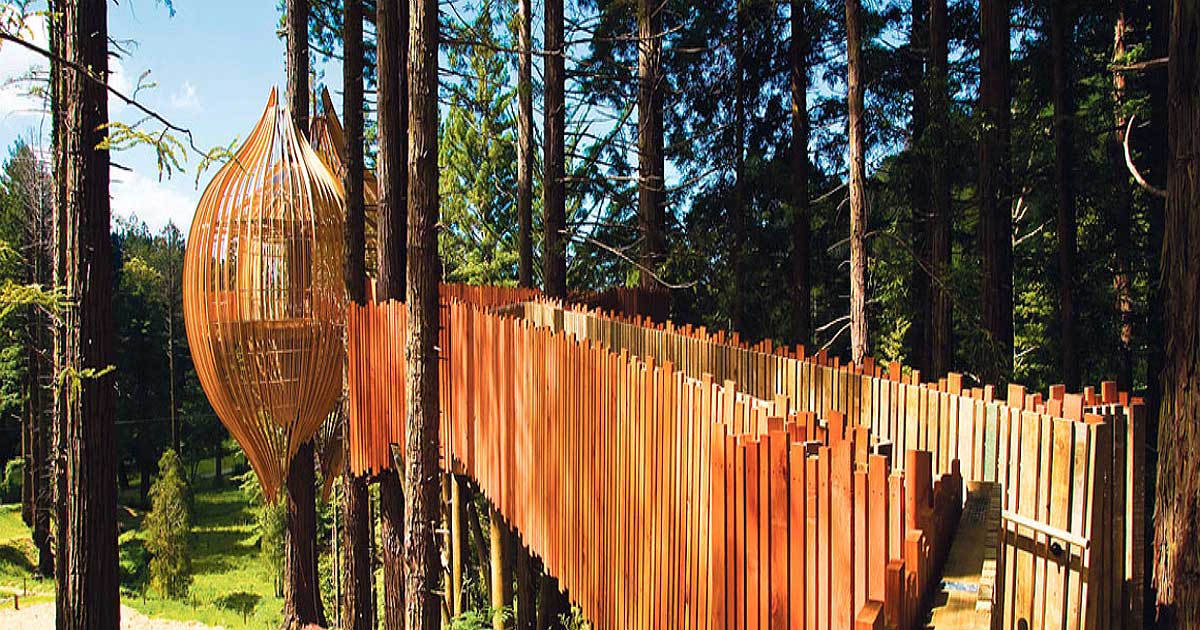 world's coolest treehouses