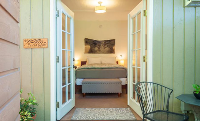 bed and breakfasts