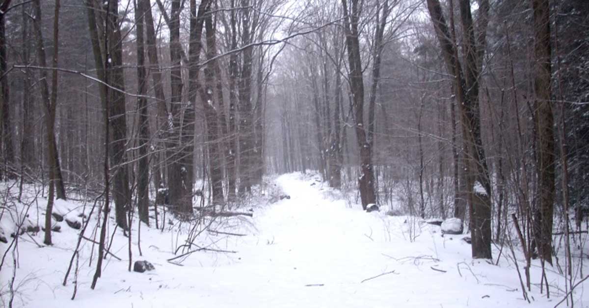 creepy Connecticut