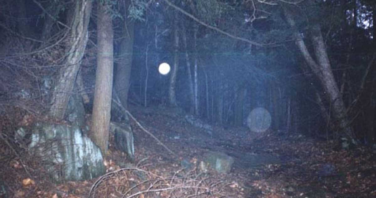 creepy Connecticut