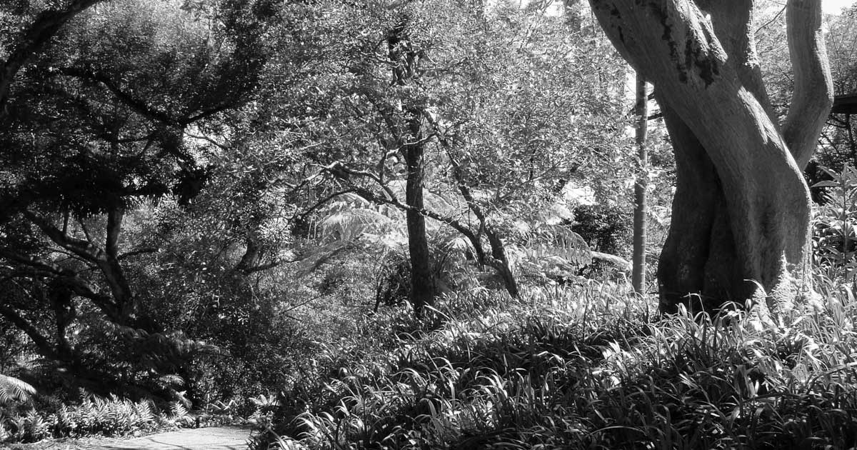 haunted hot spots in hawaii